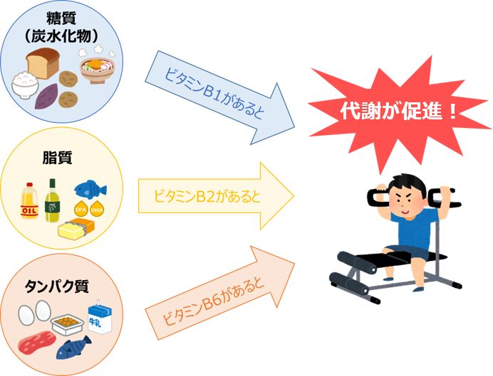 Atleta通信 目指せ パフォーマンスを高める減量 食事で気をつけたいポイント